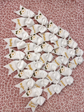 Custom Cheer Bows (Bulk Order)